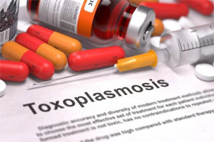 TOXOPLASMOSIS - Farma fertilidad